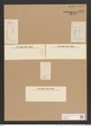 Rhoikoneis genuflexa (Kuetz.?) Grun. (de-Toni-Nr.: Genus 3, Species 846) Zeichnungen Sammlung Grunow Nr. 1676 (NHMW-BOT-W0368536)